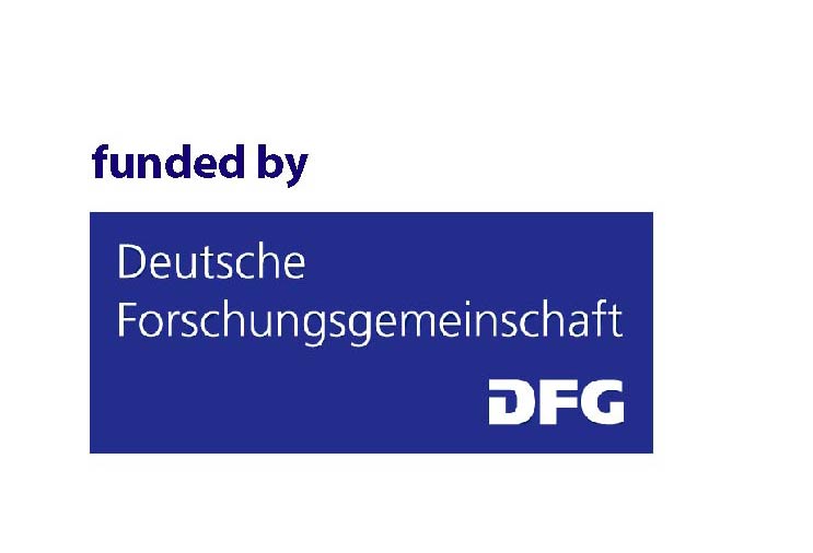 dfg_logo